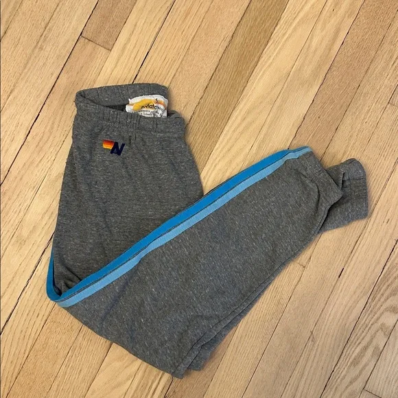 Aviator Nation Gray Track Joggers & Zip Hoodie with Blue Stripe Accents - Picture 2 of 8